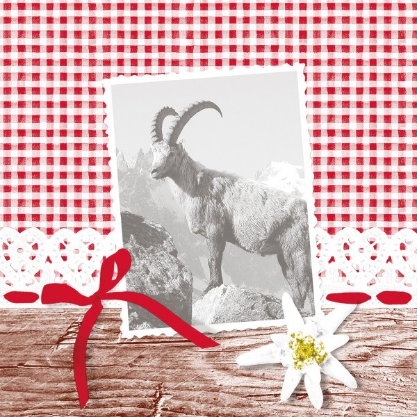 Serviette Alma aus Linclass® Airlaid 40 x 40 cm, 50 Stück