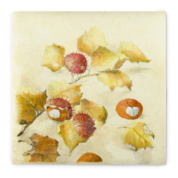 Serviette Kastanie aus Linclass® Airlaid, 40 x 40 cm, 1/4 Falz, 50 Stück