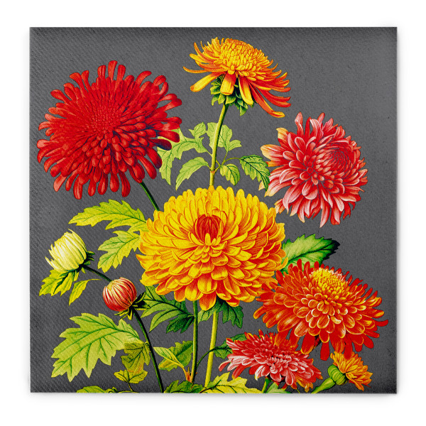 Serviette Amara aus Linclass® Airlaid 40 x 40 cm, 1/4 Falz, 50 Stück