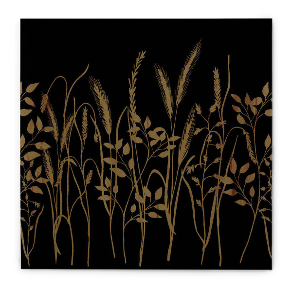 Serviette David aus Linclass® Airlaid, 40 x 40 cm, 1/4 Falz, 50 Stück