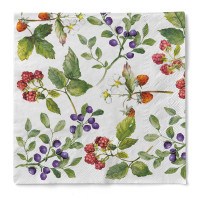 Serviette Else aus Tissue 33 x 33 cm, 3-lagig, 100 Stück Serviette Else aus Tissue 33 x 33 cm, 3-lagig, 100 Stück